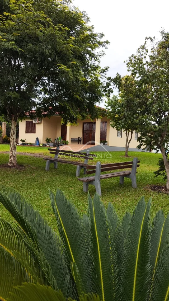 Vista externa de um jardim verde com árvores e um banco de madeira.
