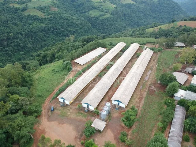 Vista aérea de estruturas longas em uma área de vegetação densa em Lajeado.