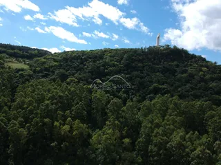 Vista aérea de uma colina coberta por floresta com uma estátua no topo.