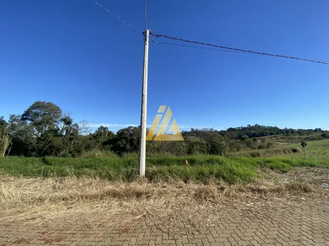 Terreno, foto 2