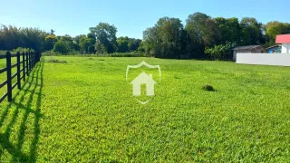 Terreno, foto 2