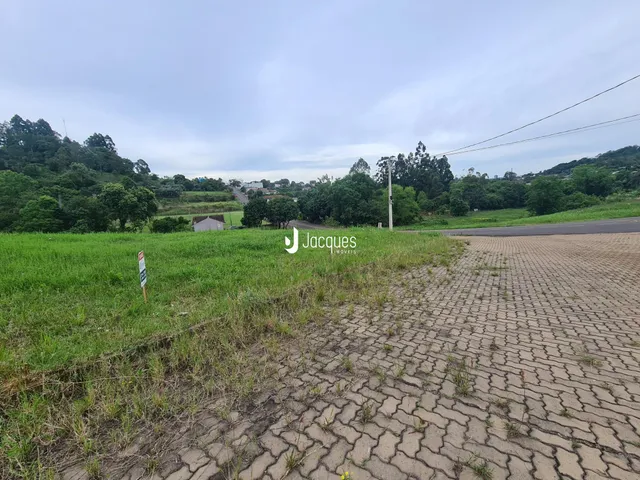 Vista de um campo gramado com estrada de terra e vegetação ao fundo.