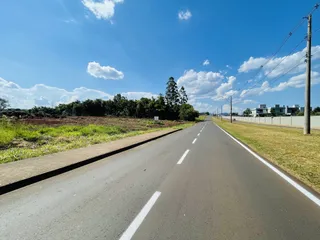 Vista de uma estrada rural com vegetação ao longo da via.
