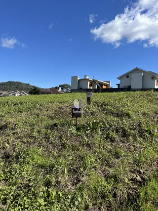 Terreno, foto 1