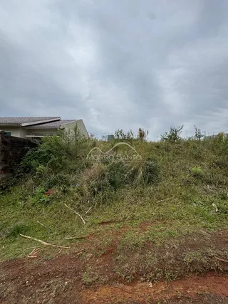 Foto de um terreno com vegetação alta e seca em Lajeado.