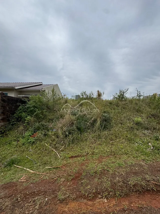 Foto de um terreno com vegetação alta e seca em Lajeado.