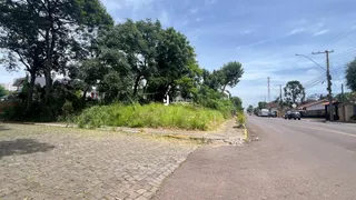 Vista da propriedade com vegetação e estrada no entorno.