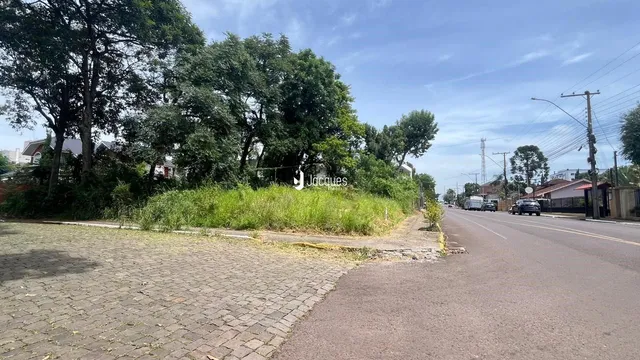 Vista da propriedade com vegetação e estrada no entorno.