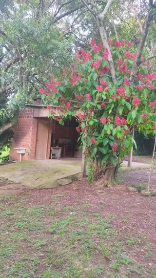 Área rural, foto 11