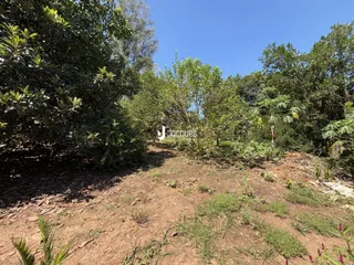 Área rural com 2 dormitórios, foto 3