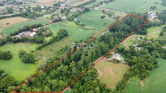 Vista aérea de uma propriedade rural com áreas de mata e campos.