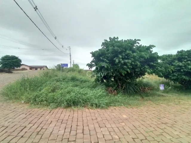 Terreno, foto 2