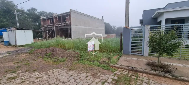 Terreno, foto 4