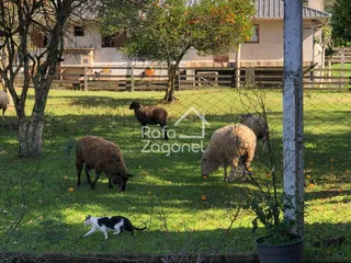Área rural, foto 8