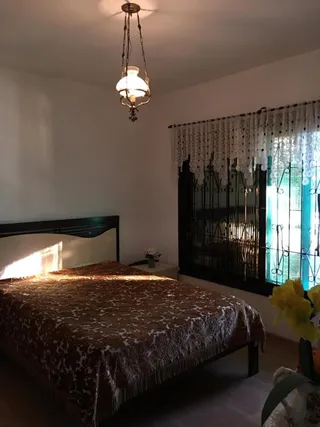 Casa com 7 dormitórios, foto 11
