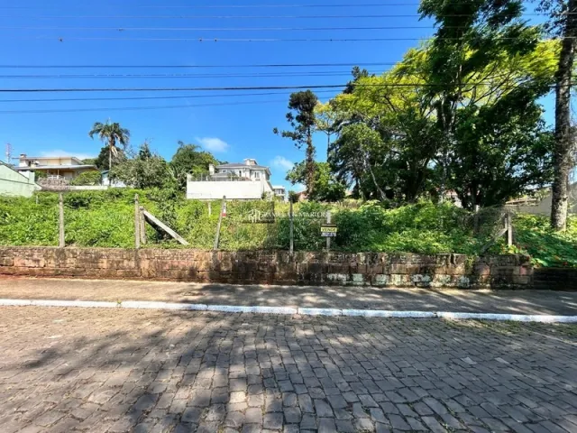 Vista externa da rua com vegetação densa no fundo.