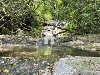Paisagem de um rio com vegetação densa na área de Lajeado.