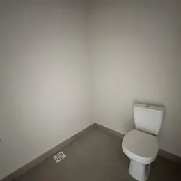Foto de um ambiente interno mostrando um vaso sanitário.