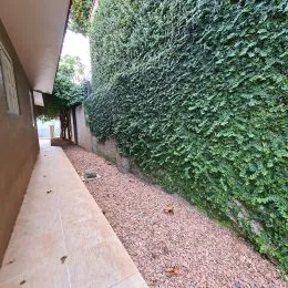 Casa com 3 dormitórios, foto 37