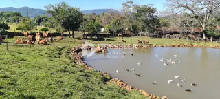 Área rural, foto 22