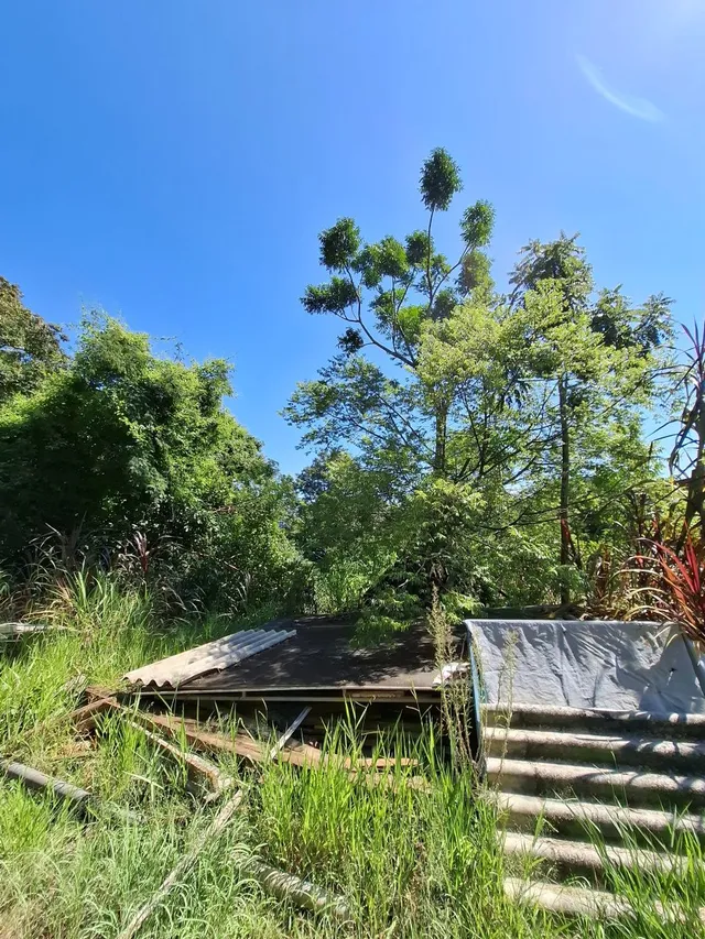 Terreno