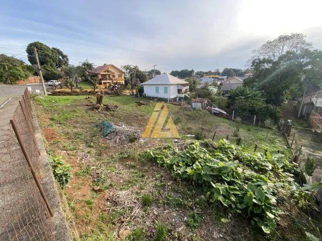 Terreno, foto 4