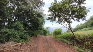 Uma estrada de terra atravessa uma área com vegetação densa e colinas no exterior.