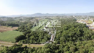 Terreno, foto 5
