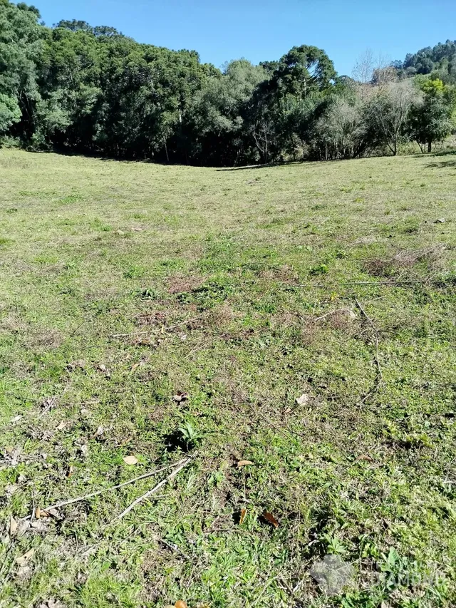 Área rural, foto 4