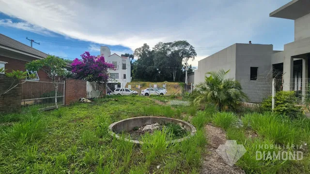 Terreno, foto 2