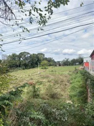 Terreno, foto 3