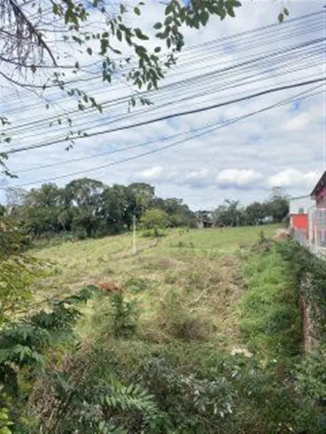 Terreno, foto 3