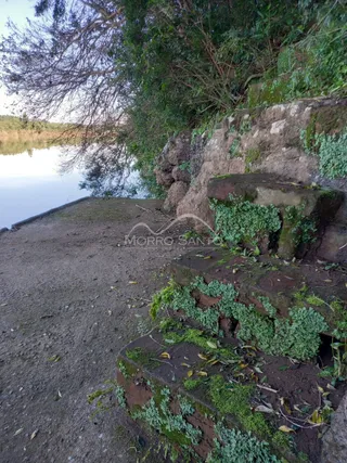 Vista de um talude natural com vegetação densa ao lado de um corpo d'água.