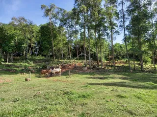 Área rural, foto 11
