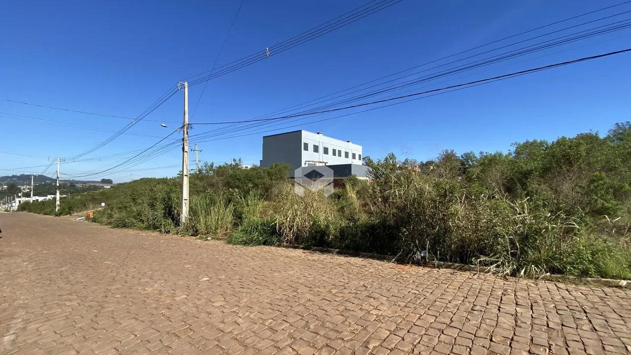 Vista da rua com vegetação densa e um edifício ao fundo em Lajeado.