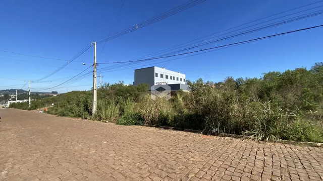 Vista da rua com vegetação densa e um edifício ao fundo em Lajeado.