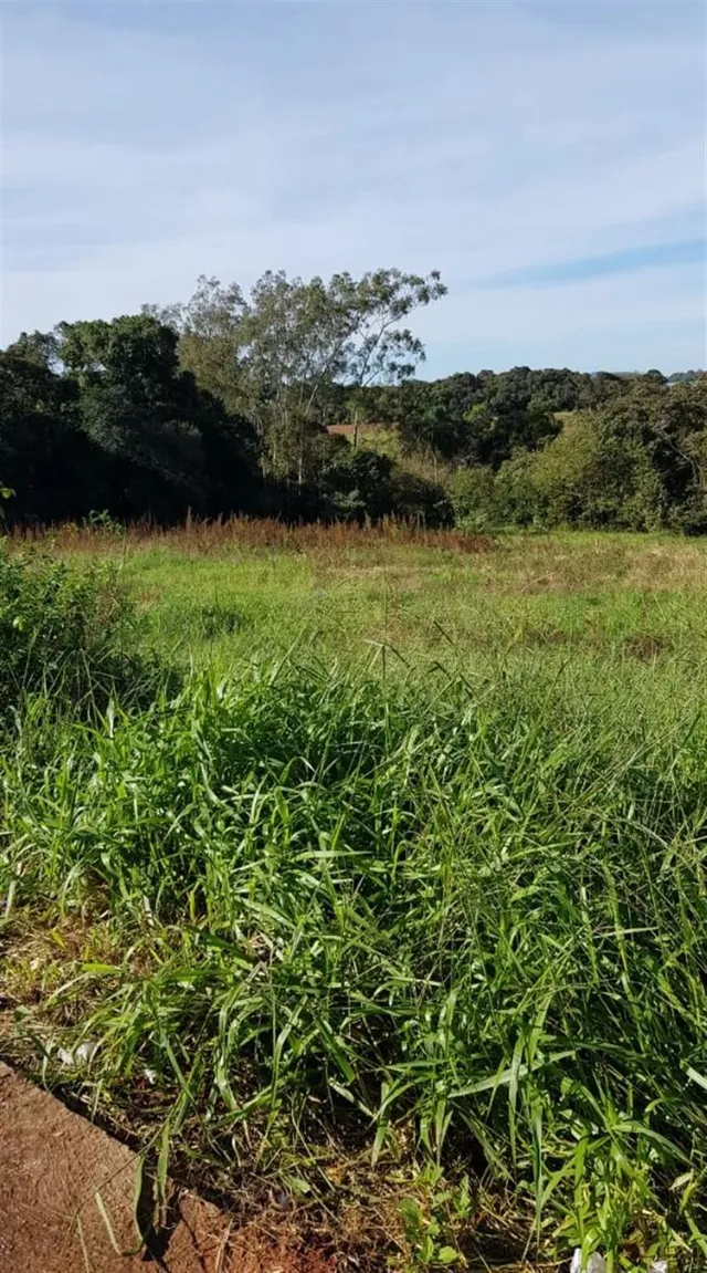 Terreno, foto 2