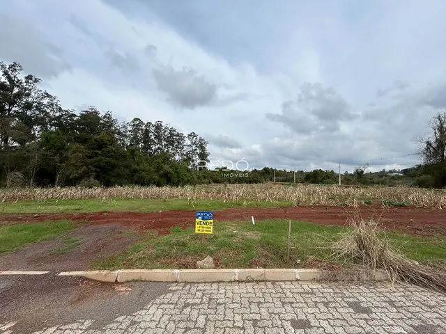 Vista externa de uma área rural com campo e vegetação.