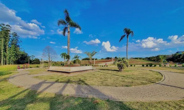 Terreno, foto 5