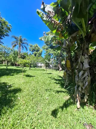 Terreno, foto 16