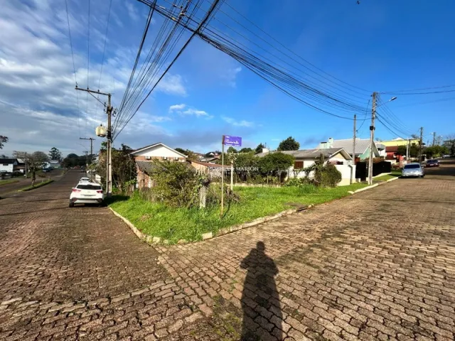 Terreno