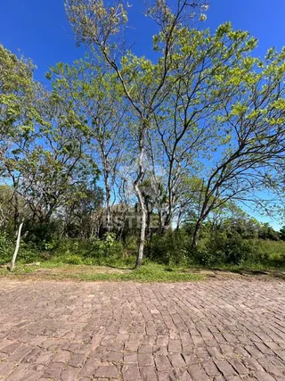 Terreno, foto 3