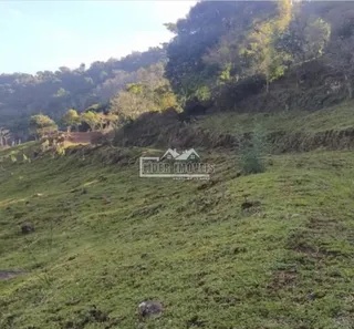 Paisagem de colinas verdes com vegetação densa na região de Lajeado.