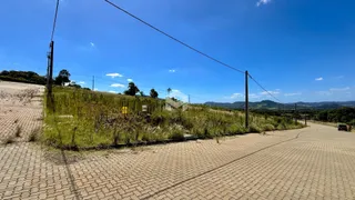 Vista da paisagem rural com vegetação e estrada no Brasil.