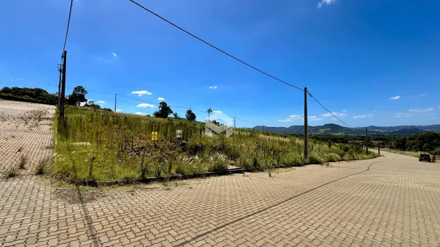 Vista da paisagem rural com vegetação e estrada no Brasil.