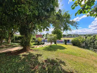 Paisagem de gramado e árvores em uma propriedade.