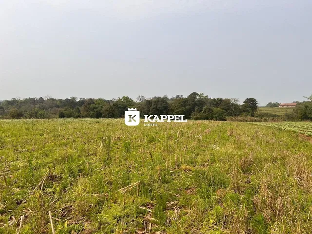 Vista de um campo aberto com vegetação no exterior da propriedade.