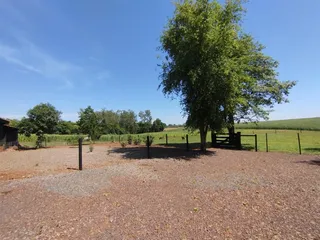 Área rural com 3 dormitórios, foto 19