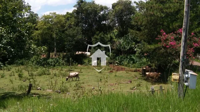 Área rural, foto 4