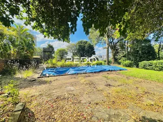 Vista externa de um terreno com vegetação e uma cobertura azul no chão.